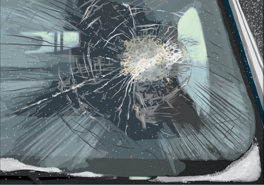 Virtual Patient Case: Complex Trauma